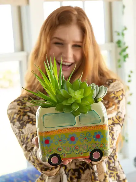 Planter Green Van