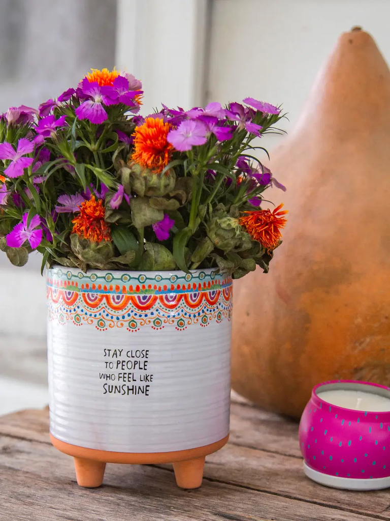 Planter Stay Sunshine