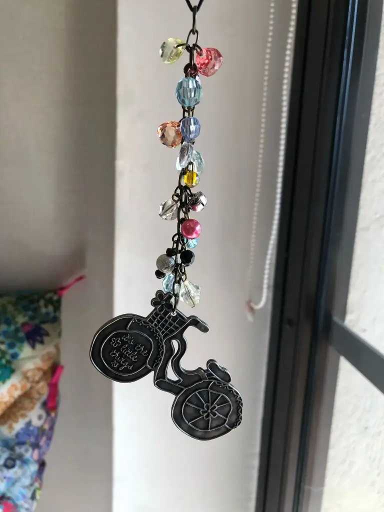 Encanto del coche Son las pequeñas cosas Bicicleta