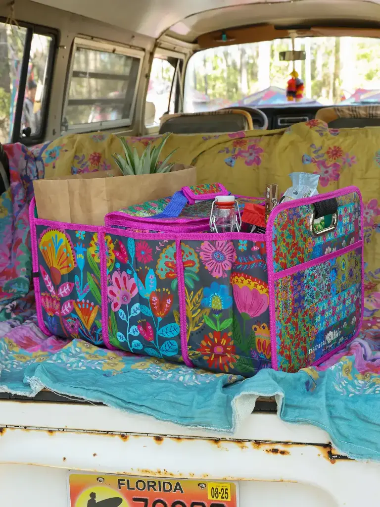 Organizador del auto Azul folk