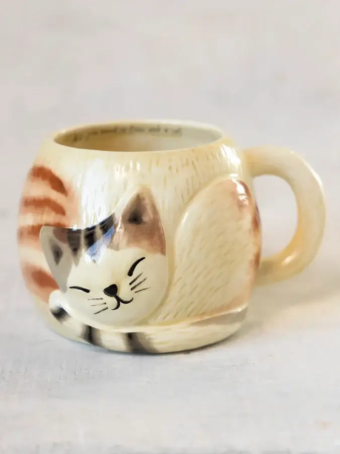 Tazon todo lo que necesitas es un Gato