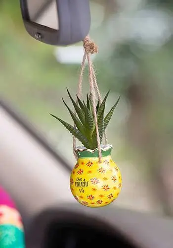 [PLNT049] Mini piña suculenta colgante