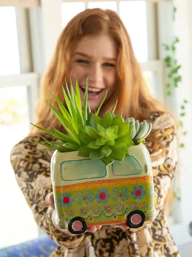 [PLNT087] Planter Green Van