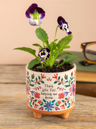 [PLNT000024] Jardinera Artesanal S Gracias