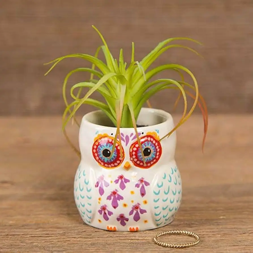 [VASE010] Búho Critter Pot