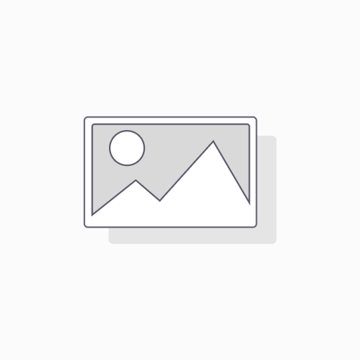 [HSCV009] FESTIVAL WRST SCRF PRP/LAVND