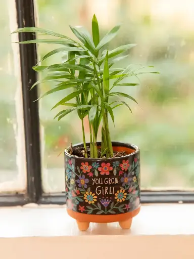 [PLNT000031] Maceta artesanal pequeña You Grow Girl