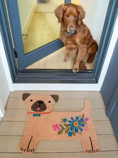 [RUG000183] Alfombra Bungalow Tan Perrito Pug